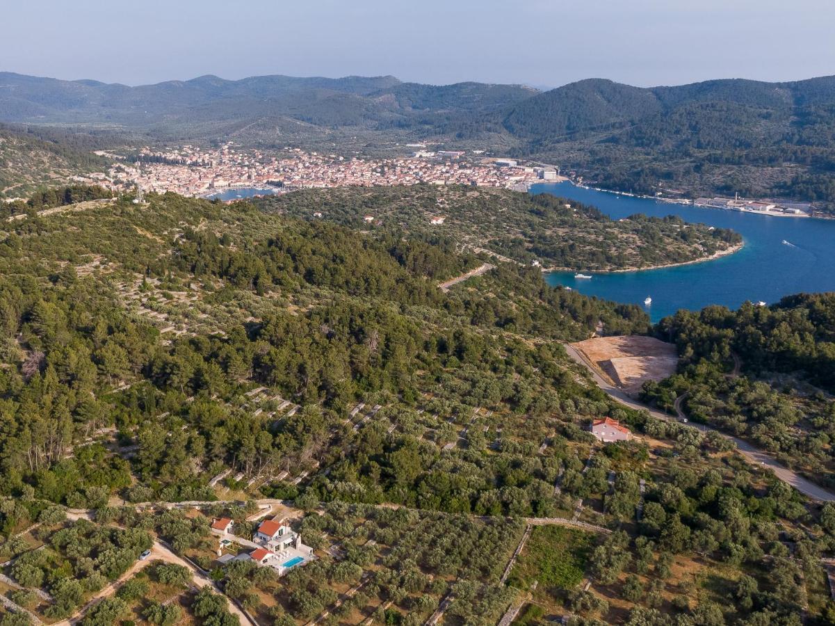 Villa Barbara - Olive Paradise, With Chlorine-Free Pool Вела-Лука Экстерьер фото